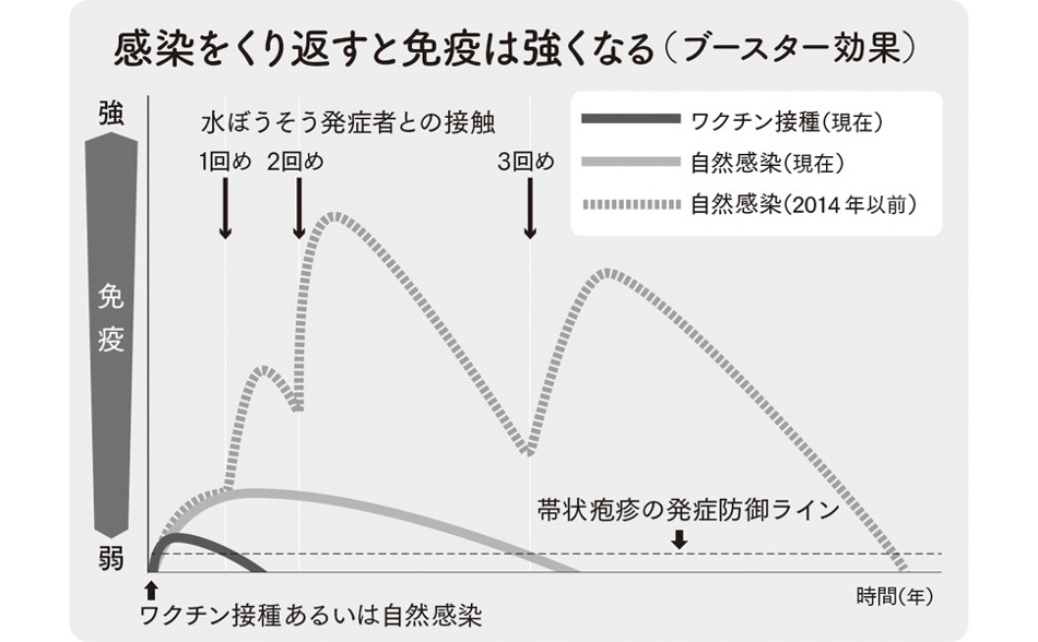 感染 免疫 ワクチン 免疫力