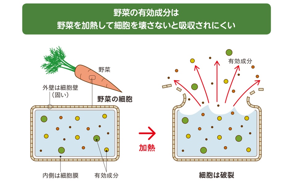 ファイトケミカル